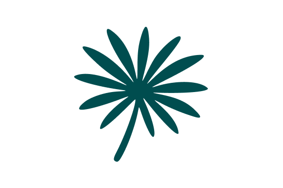 Palm Leaf Tropical Graphics for Creative Projects